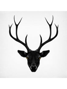 the-black-deer