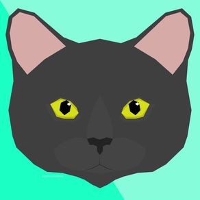 meow-series--dark-grey