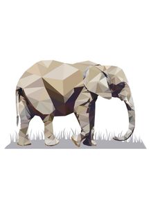 natureza-de-triangulos--elefante