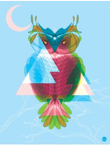 graphic-owl