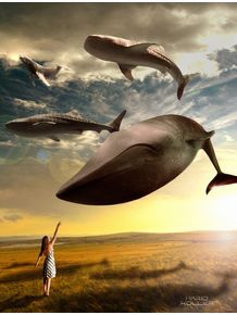 flying-whales