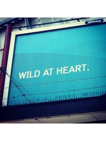 wild-at-heart