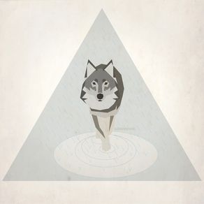 rainy-wolf