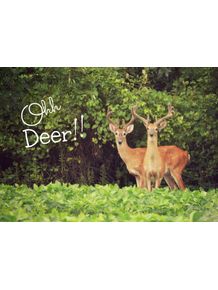 ohh-deer