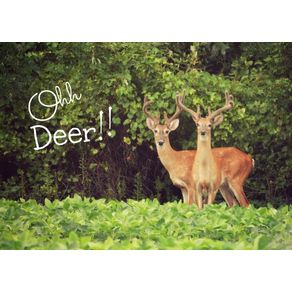 ohh-deer