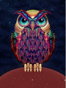 owl-2