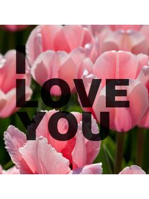 i-love-you-flower