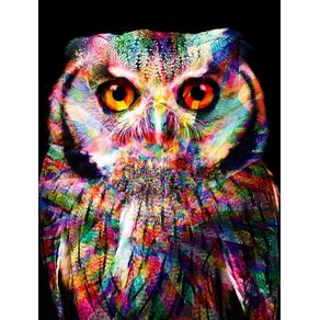 owl-colors