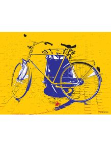bike-color-11