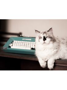 cat-writer