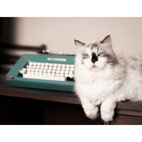 cat-writer