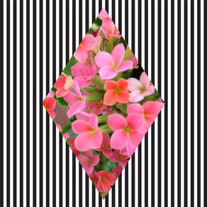geometric-flower-2