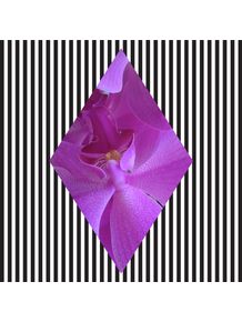 geometric-flower-3