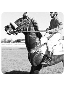 cavalo-jockey-club-lagoa-166