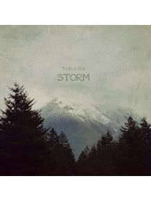 brave-the-storm