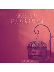 free-bird-ii
