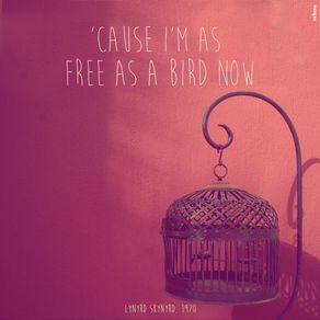 free-bird-ii