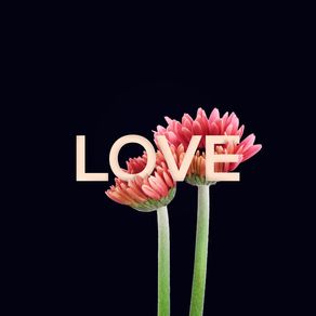 love-and-flower