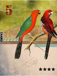animal-collection-birds
