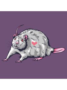 animais-amorosos-ratinho