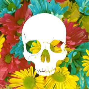 skull-flowers-summer