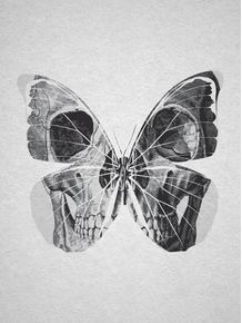 skull-butterfly
