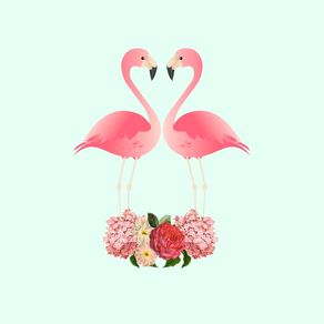 flamingos-in-love