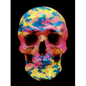 skull-camuflate