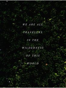 we-are-travelers