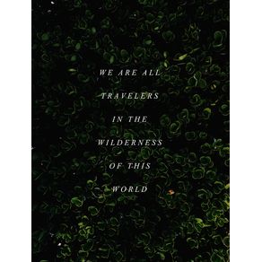 we-are-travelers