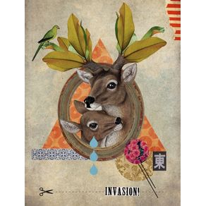 animal-collection-oh-deer