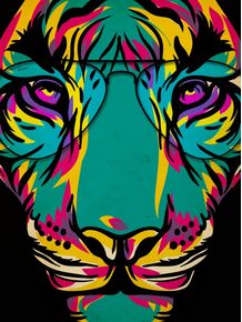 tiger-sunglass-colors