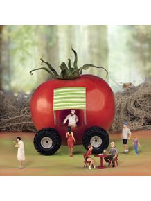 the-big-foodt-truck-tomato-