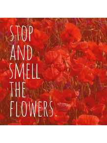stop-and-smell-the-flowers