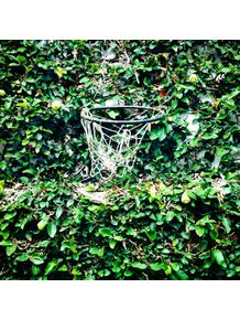 green-basket