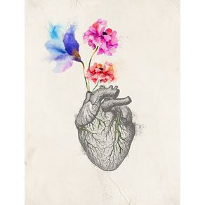blossom-heart