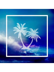 palm-and-sky