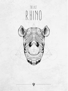 the-last-rhino