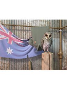 coruja-australiana