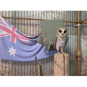 coruja-australiana