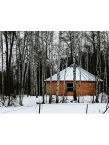 yurt-in-the-birch