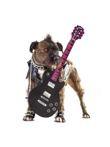 dog-models--rocker-2