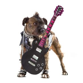 dog-models--rocker-2