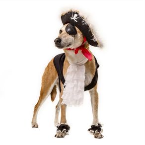 dog-models--pirata-1