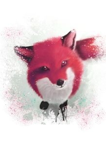 snow-fire-fox