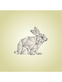 geometric-rabbit
