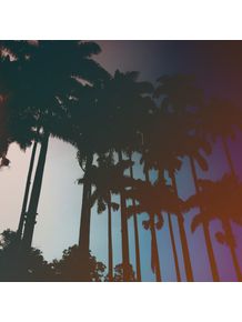 palmeiras-cores