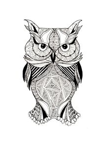 wide-eyed-owl
