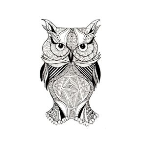 wide-eyed-owl