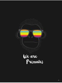 we-are-primates